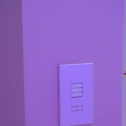 See Touch Lutron